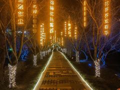 -香雪海