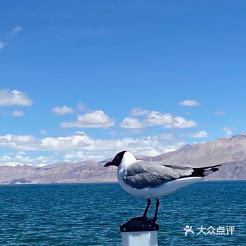 呼吸着冷冽的空气，在晴空万里的地方，天上人间