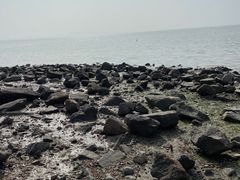 -深圳湾公园(南山区)