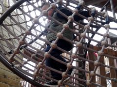 -枫香湖儿童公园