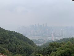 -南山植物园