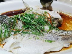 -金騰閣·经典粤菜(汾江中路店)