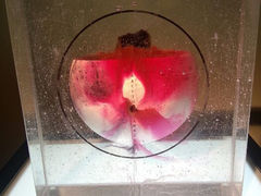 android_upload_pic-上海琉璃艺术博物馆