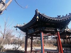 -迎泽公园
