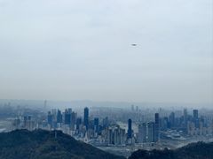 -大金鹰园