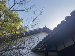 -八大山人梅湖景区