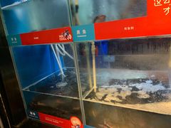 水产区-鱼酷活鱼烤鱼(人信汇商场店)