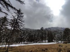-硗碛藏寨·神木垒景区