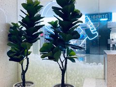 -喜茶(深圳湾万象城店)