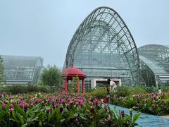 -南山植物园