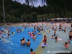 -重庆海昌加勒比海水世界