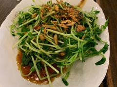 豆苗-松發肉骨茶(先得坊店)