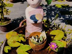 -西双版纳傣族园