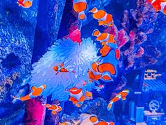 -沈阳海洋探索中心