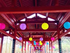 -重庆彩云湖湿地公园