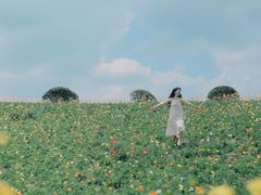 -紫颐香薰山谷景区