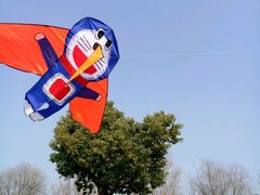 -泰州凤城河风景区-泰山公园