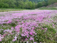 -昆嵛山石门里景区