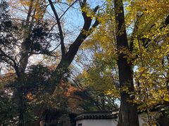 -虞山风景区
