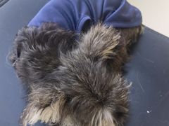 -怪兽屋·羊驼·猫咖·狗咖(俊华广场店)