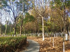 -江南大学(蠡湖校区)