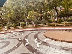 -南宫五洲植物乐园