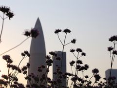 -深圳湾公园(南山区)