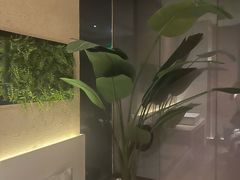 -新紫霞养生·影院足道·SPA(金山区店)