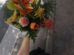 -溪岸路花鸟市场