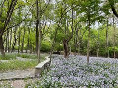 -塘沽森林公园