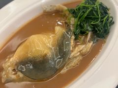 -沈灶河豚宴·河豚融合餐厅(汉中路店)