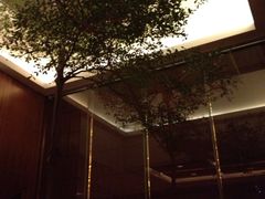 -东莞松山湖凯悦酒店