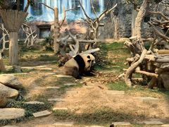 -石排湾郊野公园