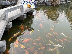 -嘉兴清池酒店温泉