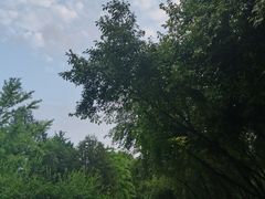 -朝阳公园游乐园