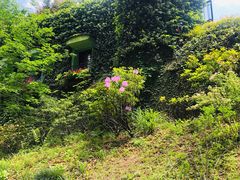 -三鹰之森吉卜力美术馆