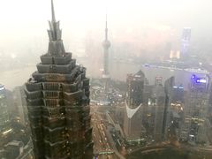 景观位-上海柏悦酒店·世纪100牛排馆