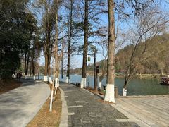 -常德桃花源景区