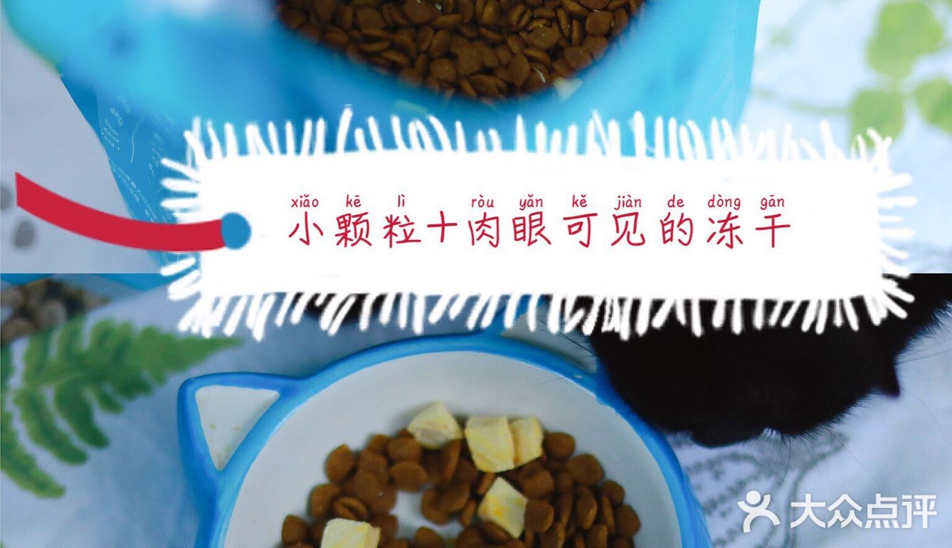 🐈养宠科普 | 国产网红猫粮评测报告！