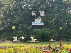 -广州长隆飞鸟乐园