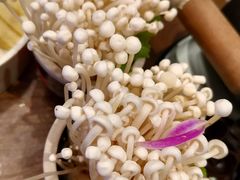 -刘一锅筋头巴脑(小北店)