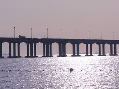 -宝安西湾红树林湿地公园