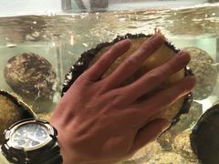 -甄御•海鲜新青岛菜(麦岛店)