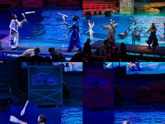 -海合安武汉极地海洋公园