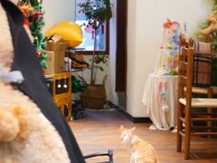 -初甜·舒芙蕾·韩式雪花冰(流塘店)