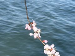 -颐和园