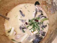 鮰鱼-云中鱼蒸汽石锅鱼(川沙百联店)