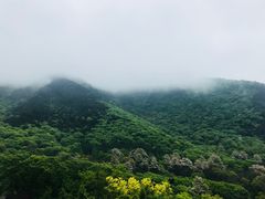 -青岛崂山太清宫