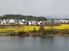 -婺源月亮湾