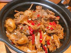 -小金鬼·煎饺·鸽子汤